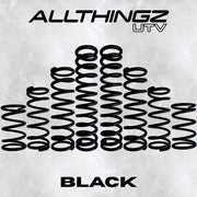 Polaris RZR Pro R 2 Seater Dual Rate Spring Kit (Universal Shock Fitment)