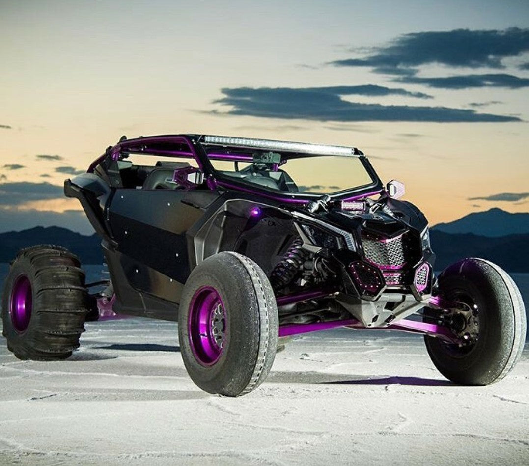 Can-Am X3 Cage