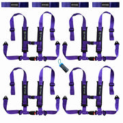 Maverick R Harness Kit (2024+)